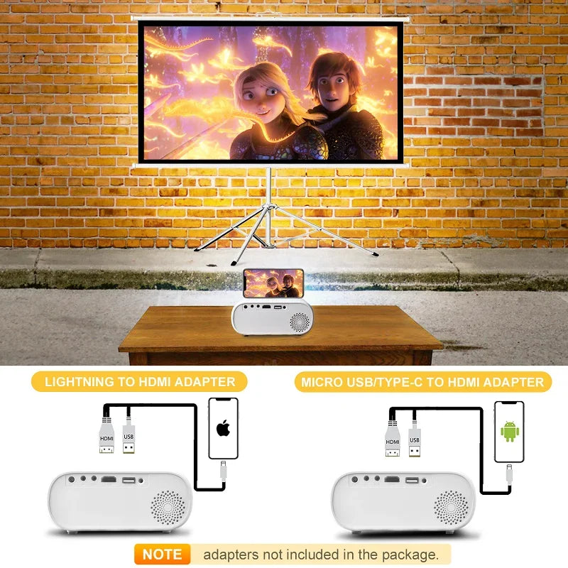 Mini-projecteur-connectique