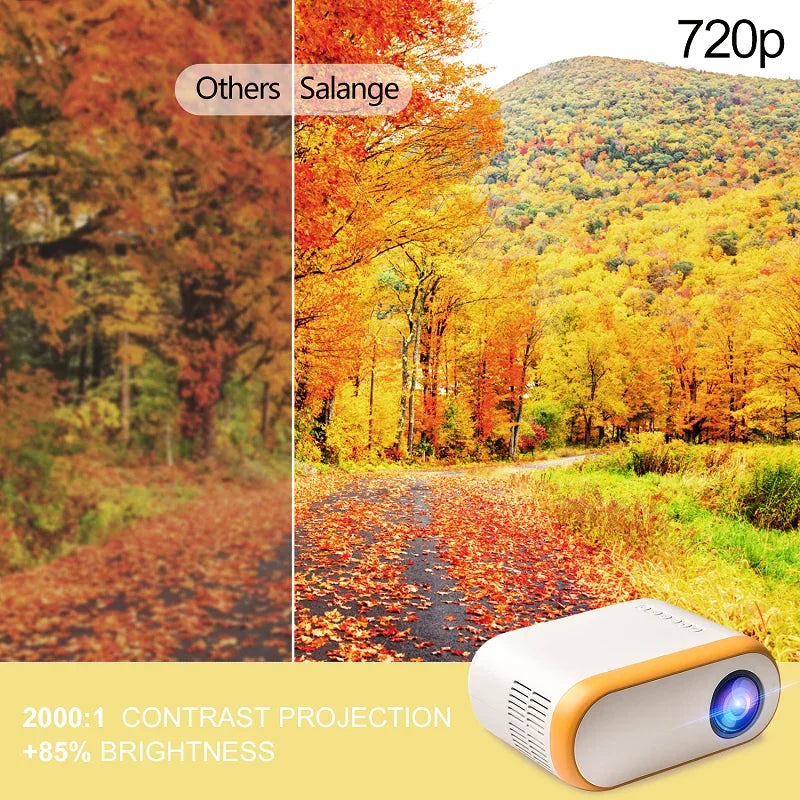 Mini-projecteur-vue-constrast