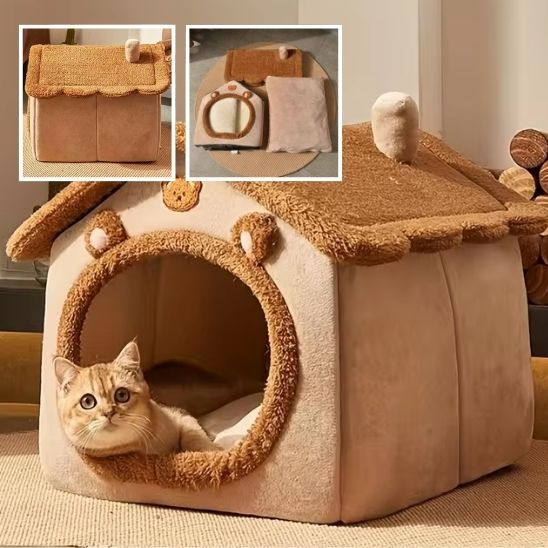Niche-pour-Chat-exterieur-marron-petit-chat-curieux-avec-puce