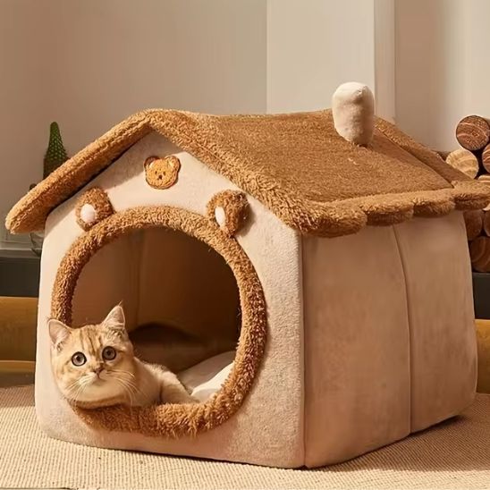 Niche-pour-Chat-exterieur-marron-petit-chat-curieux