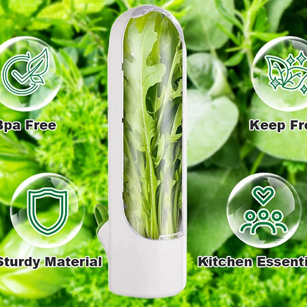 The Fresh Herb Box