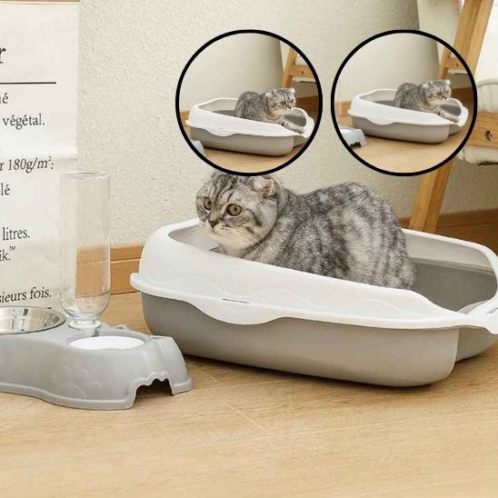 bac-a-litiere-pour-chat-gris-mefiant-avec-miniatures