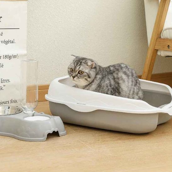 bac-a-litiere-pour-chat-gris-mefiant