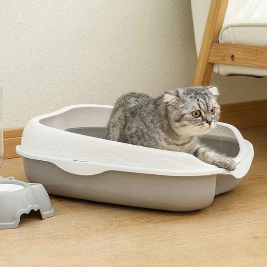 bac-a-litiere-pour-chat-gris-sorti