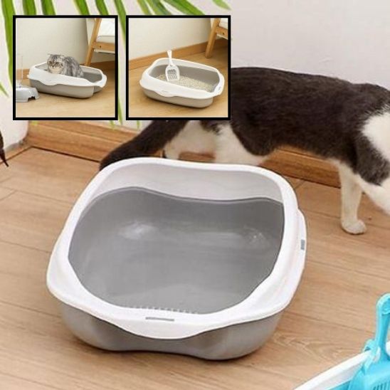 bac-a-litiere-pour-chat-gris-vue-dessus-vide-avec-miniature