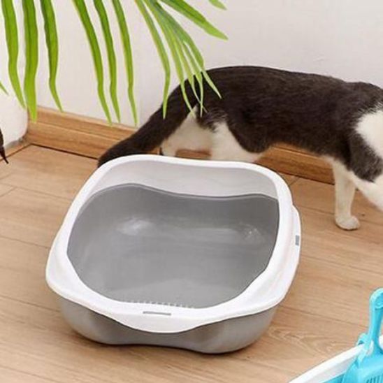 bac-a-litiere-pour-chat-gris-vue-dessus-vide