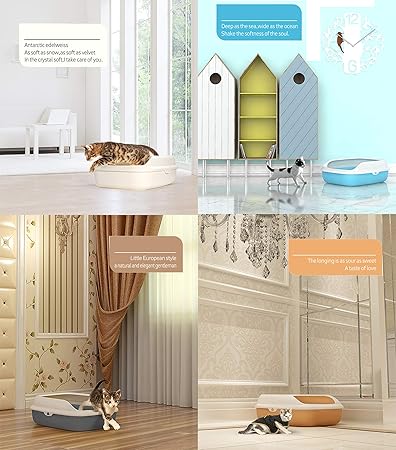 bac-a-litiere-pour-chat-situations