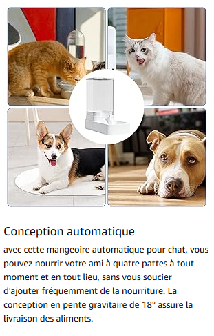 distributeur-de-croquette-pour-chat-blanc-demo-avec-chat-et-chiens-explications