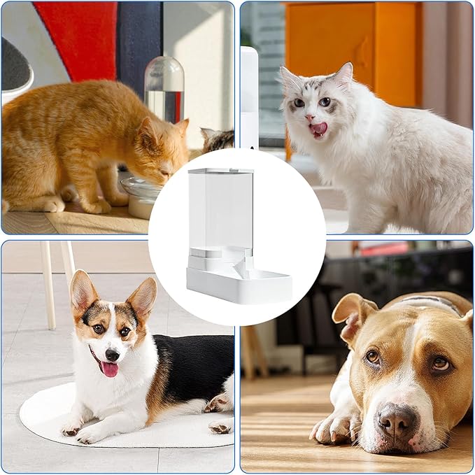 distributeur-de-croquette-pour-chat-blanc-demo-avec-chat-et-chiens