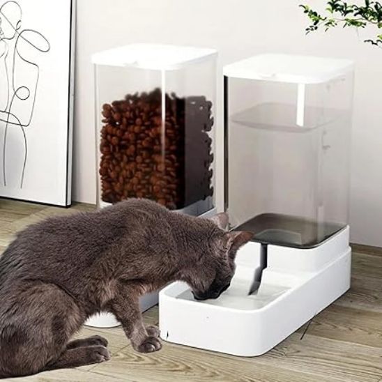 distributeur-de-croquette-pour-chat-blanc-demo-avec-chat-noir