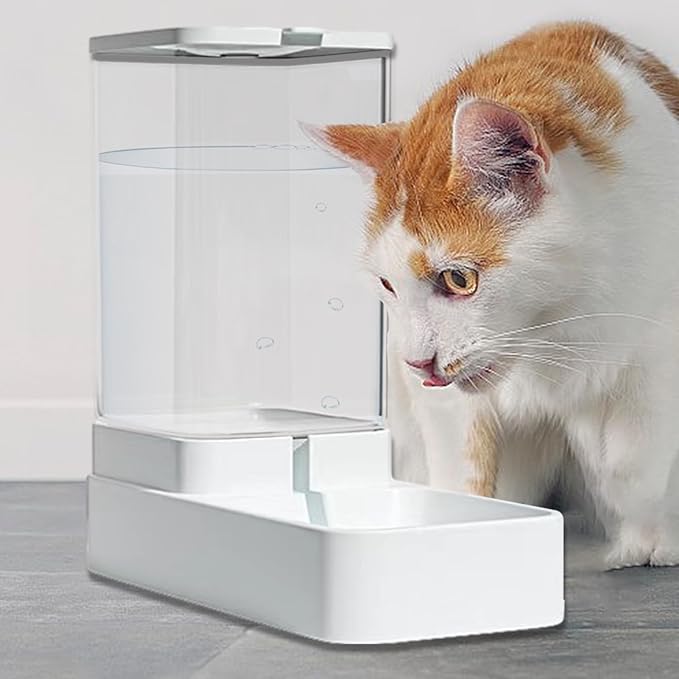distributeur-de-croquette-pour-chat-blanc-demo-avec-chat