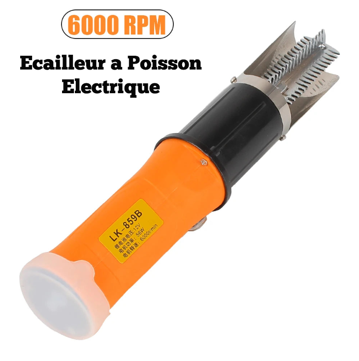 ecailleur_a_poisson_electrique_fr