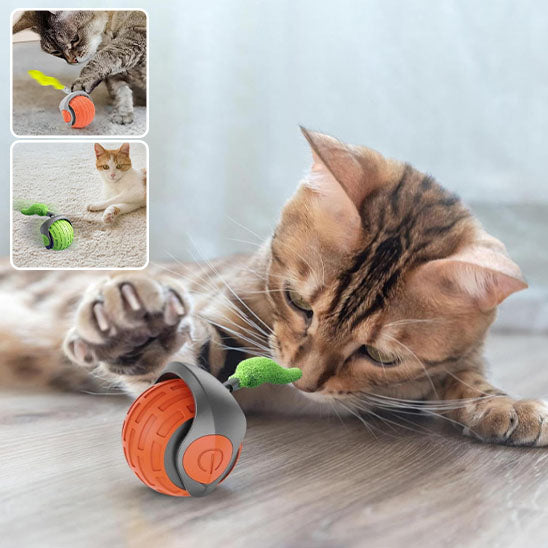 jeu_interactif_pour_chat_Produit_4
