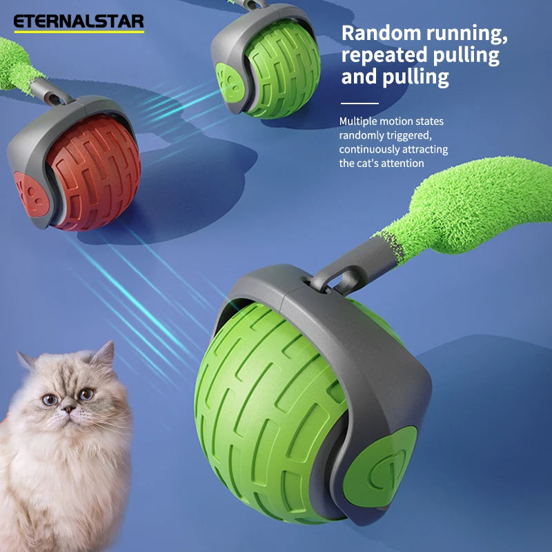 jeu_pour_chat_produit presentation