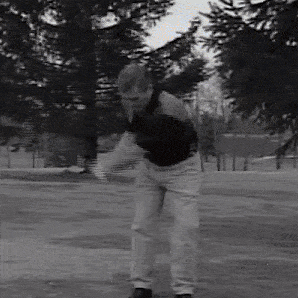 Ramasse-balles de Golf télescopique en acier inoxydable
