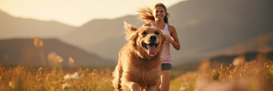 Les bienfaits physiques des animaux de compagnie