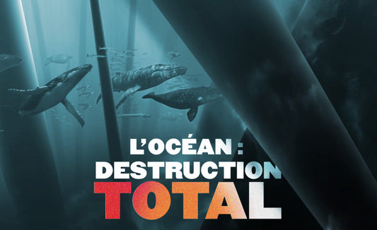 Contre la destruction de l'Océan Mobilisez vous !