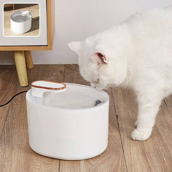 Fontaine_a_eau_pour_chat_blanche_1