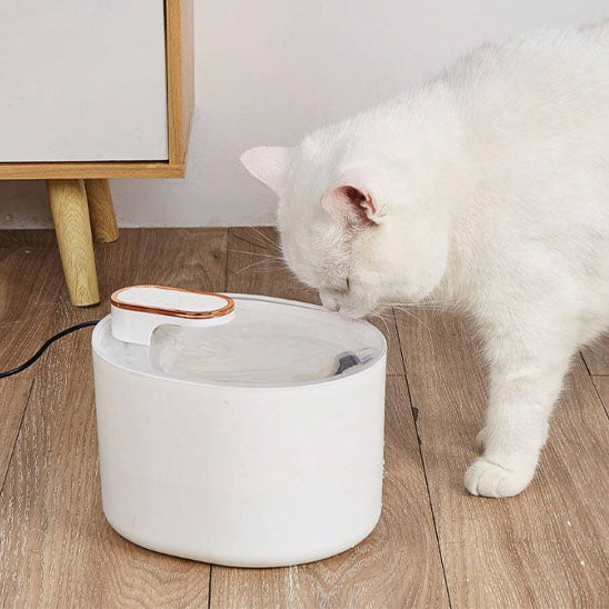 Fontaine_a_eau_pour_chat_blanche_2