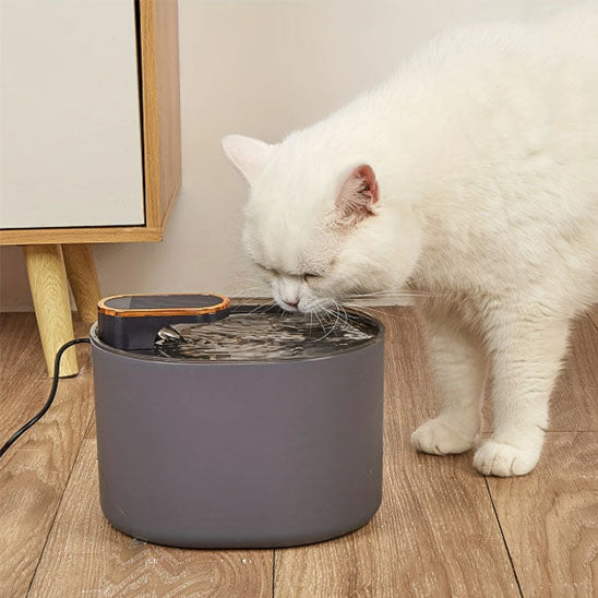 Fontaine_a_eau_pour_chat_noire_1