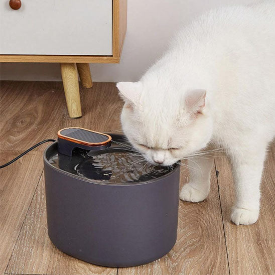 Fontaine_a_eau_pour_chat_noire_3