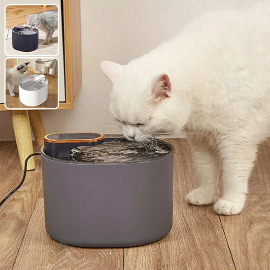 Fontaine_a_eau_pour_chat_produit_noir_et_chat_blanc