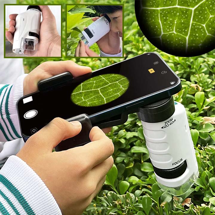 Mini-microscope de poche