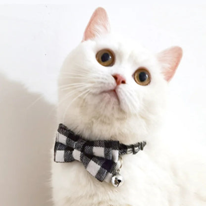 Collier chat | Élégance Féline