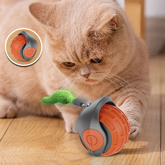 jeu_interactif_pour_chat_Produit_3