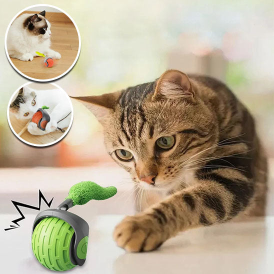 jeu_interactif_pour_chat_Produit_5