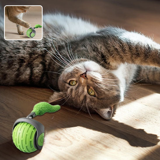 jeu_interactif_pour_chat_Produit_vert