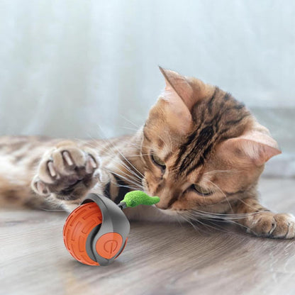 jeu_pour_chat_4