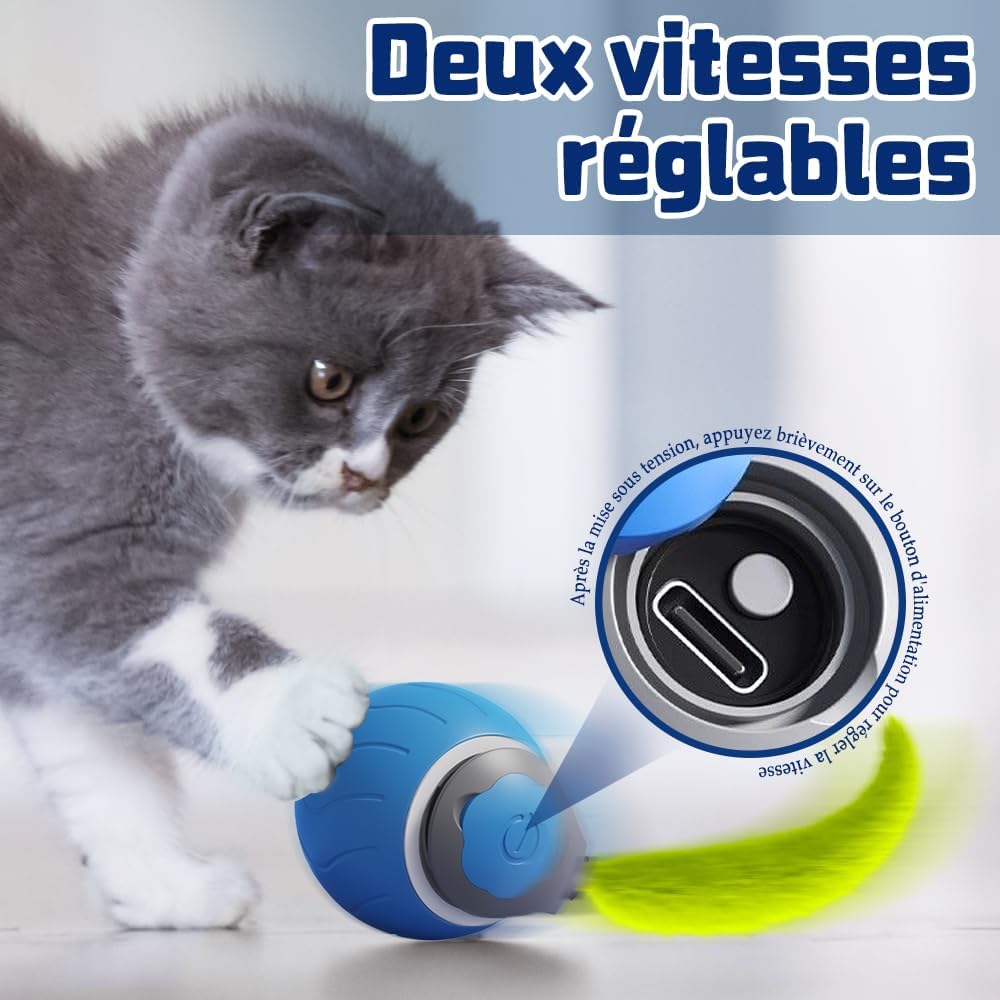 jeu_pour_chat_bleu_2_vitesses