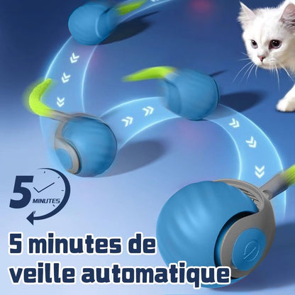 jeu_pour_chat_bleu_5_minutes_de_veille