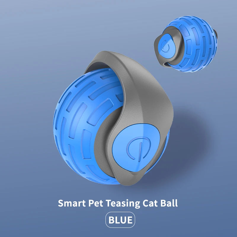 jeu_pour_chat_bleu P