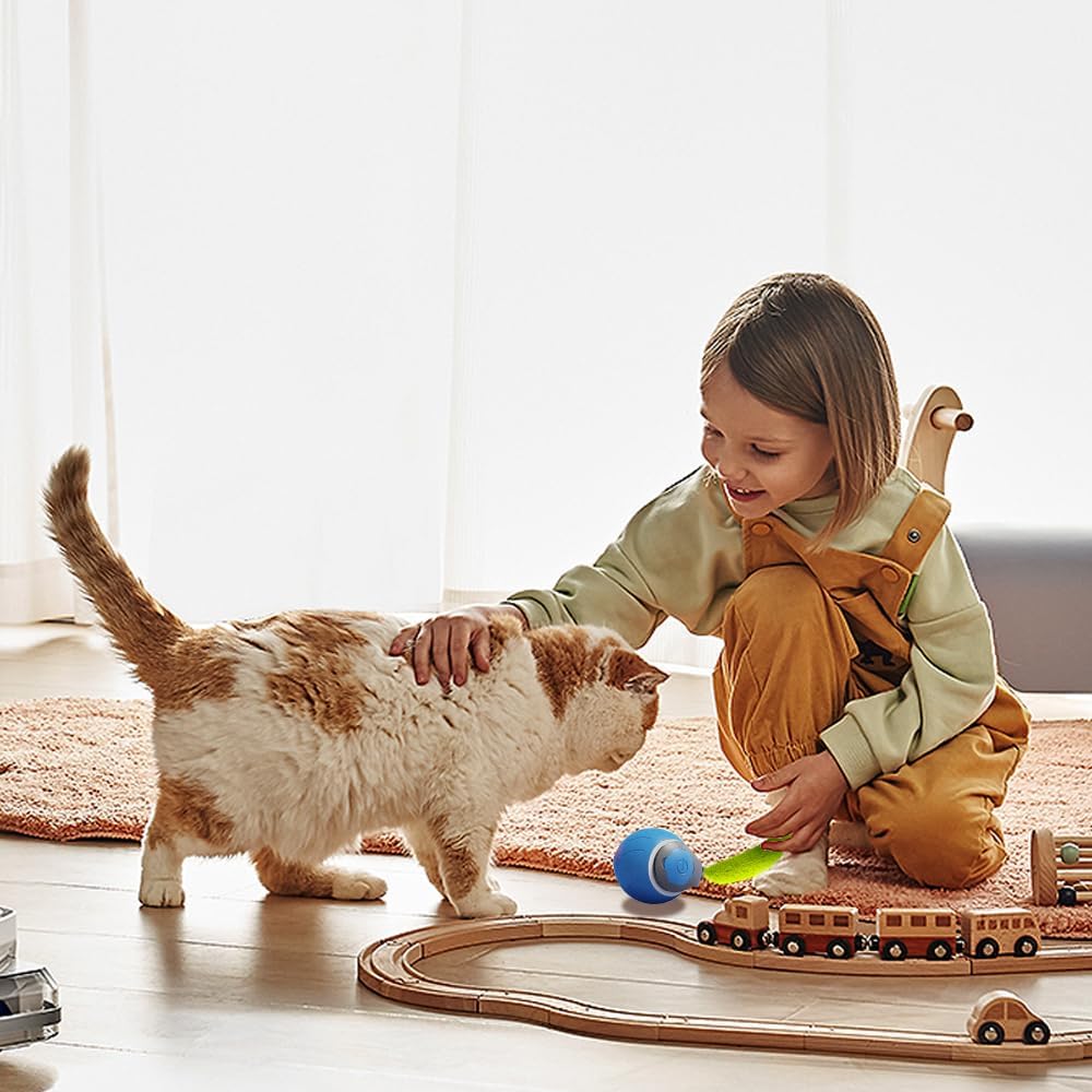 jeu_pour_chat_bleu_avec_petite_fille