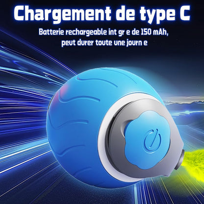 jeu_pour_chat_bleu_chargement