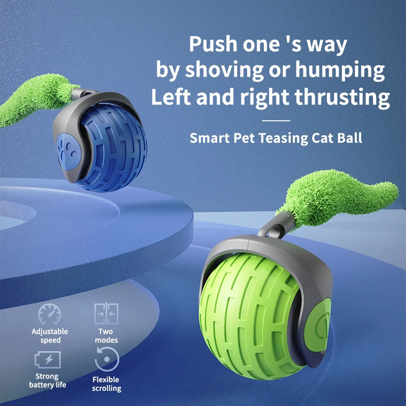 jeu_pour_chat_bleu et vert