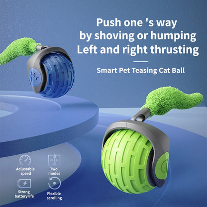 jeu_pour_chat_bleu et vert