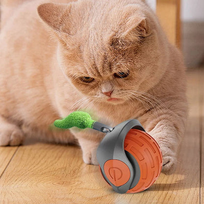jeu_pour_chat marron