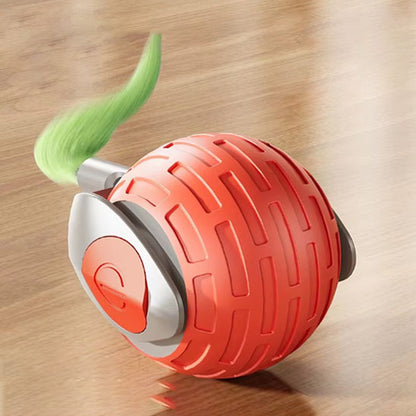 jeu_pour_chat_orange