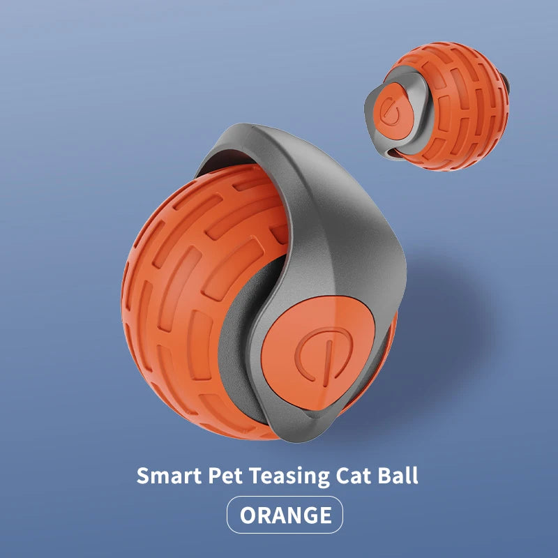 jeu_pour_chat_orange