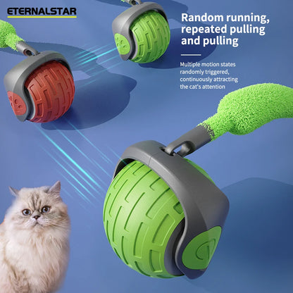 jeu_pour_chat_produit presentation