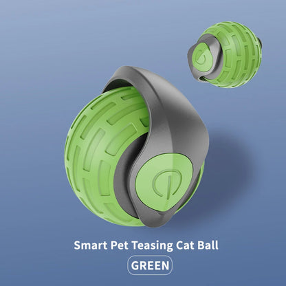 jeu_pour_chat_vert
