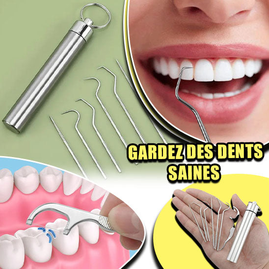 Ensemble de cure-dents en acier inoxydable