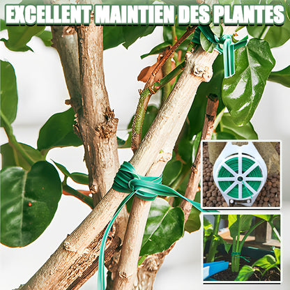 Fil de support et de maintien pour plantes - CAP OCEAN BIEN-ETRE