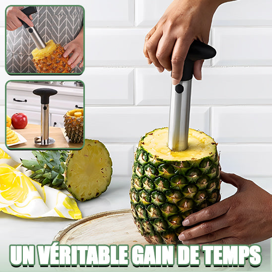 Découpe Ananas en Acier Inoxydable