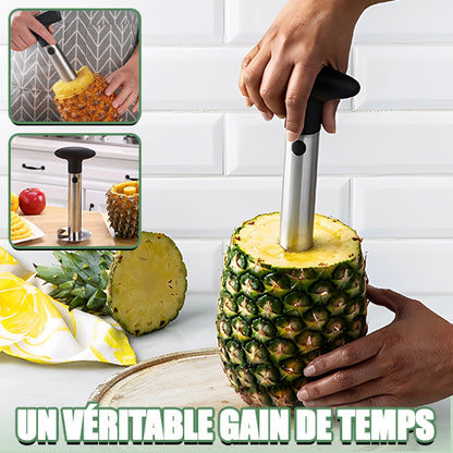 Découpe Ananas en Acier Inoxydable - CAP OCEAN BIEN-ETRE