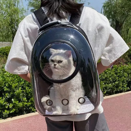 sac_transport_chat_blanc