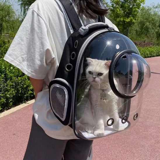 sac_transport_chat_blanc avec hublot
